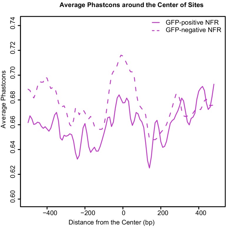 Figure 1—figure supplement 3.