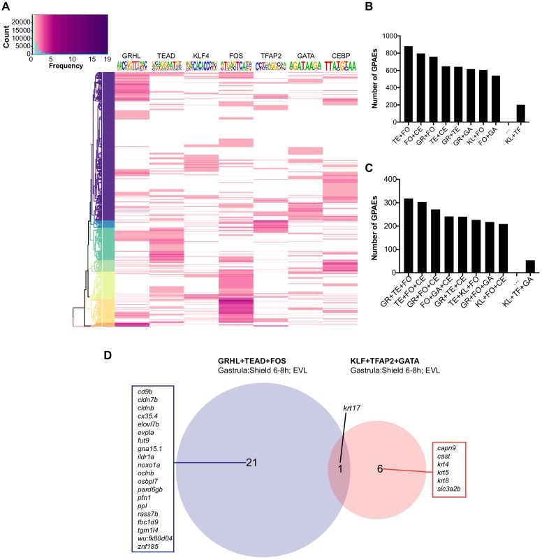 Figure 2—figure supplement 4.