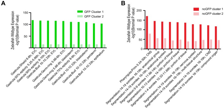 Figure 1—figure supplement 5.