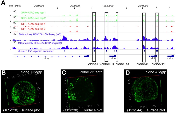 Figure 1—figure supplement 4.