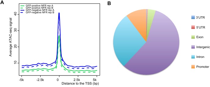 Figure 1—figure supplement 2.