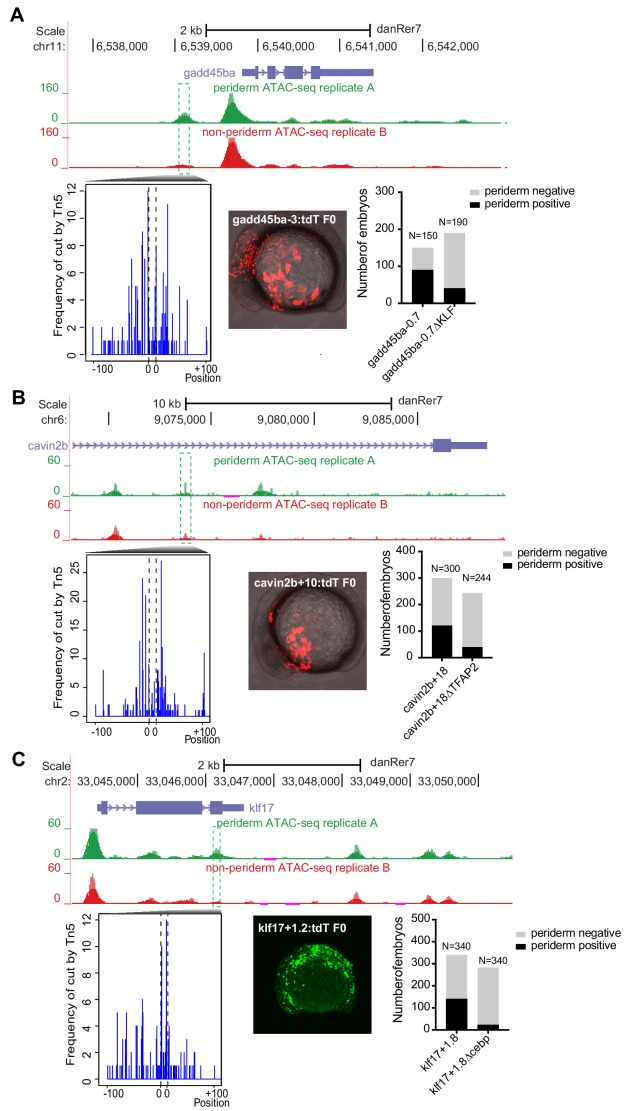 Figure 2—figure supplement 2.