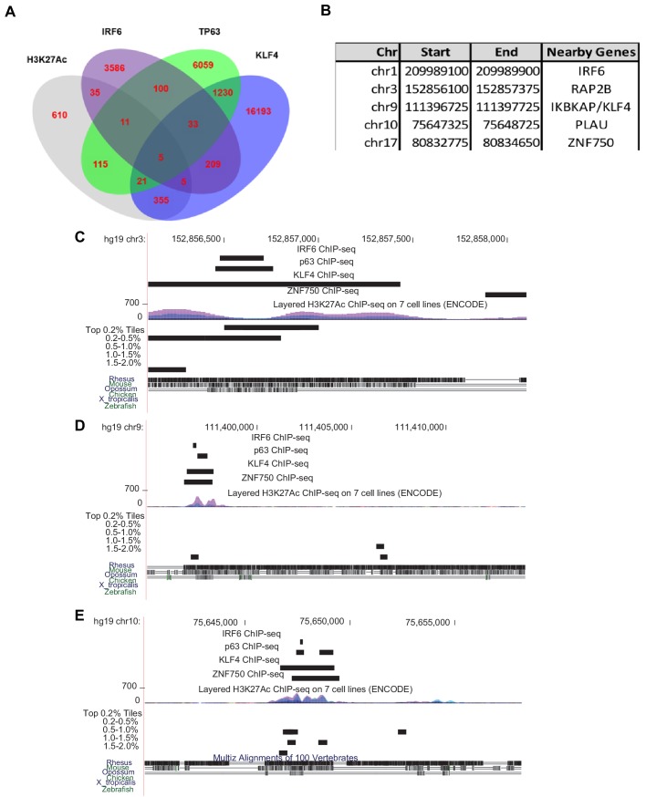 Figure 4—figure supplement 2.