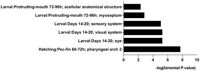 Figure 3—figure supplement 1.