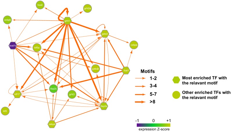 Figure 2—figure supplement 3.