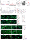 Extended Data Fig. 9