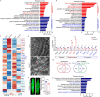 Extended Data Fig. 3