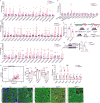 Extended Data Fig. 7