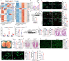 Extended Data Fig. 1