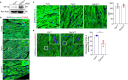 Extended Data Fig. 4