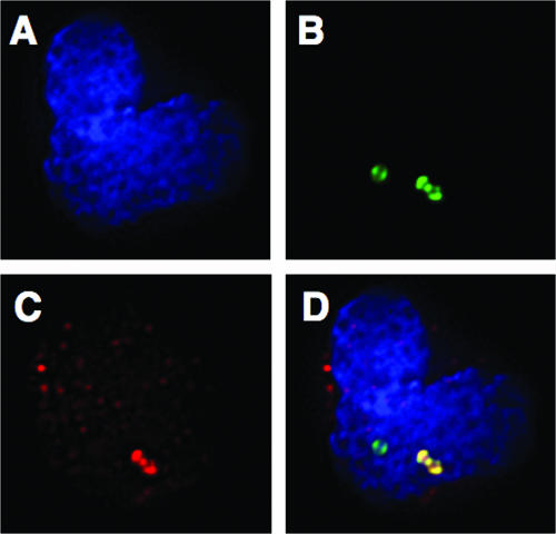 FIG. 6.