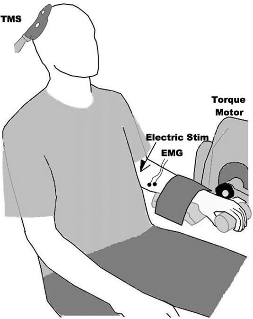 FIGURE 2