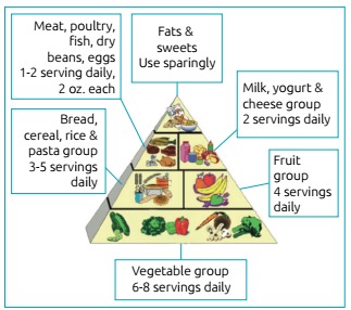 Figure 1: