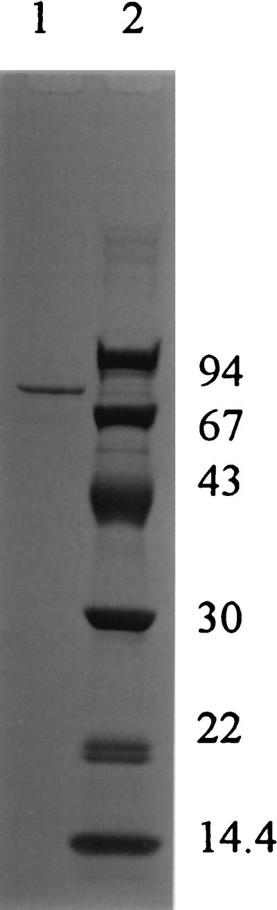 FIG. 6