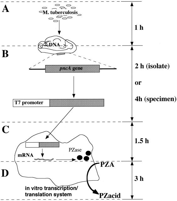 FIG. 4.