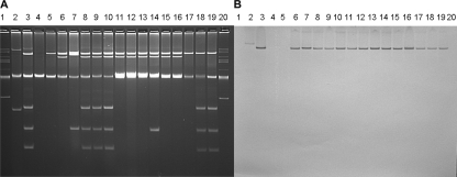 FIG. 5.