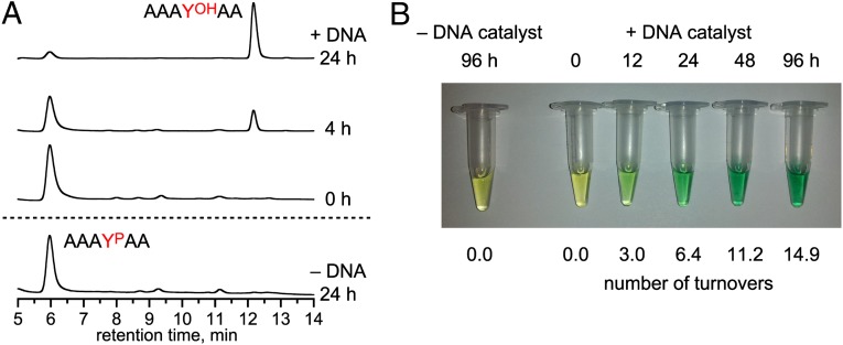 Fig. 3.