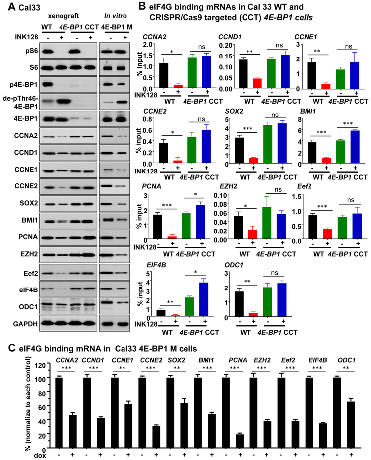 Figure 5: