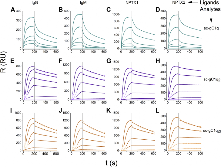 Figure 5