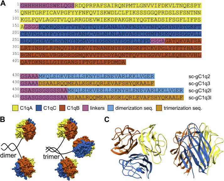 Figure 1