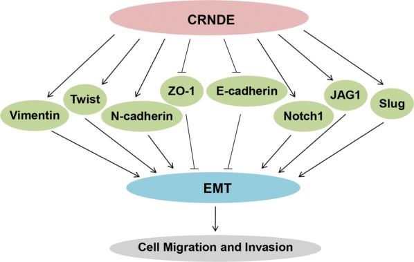 Fig. 3