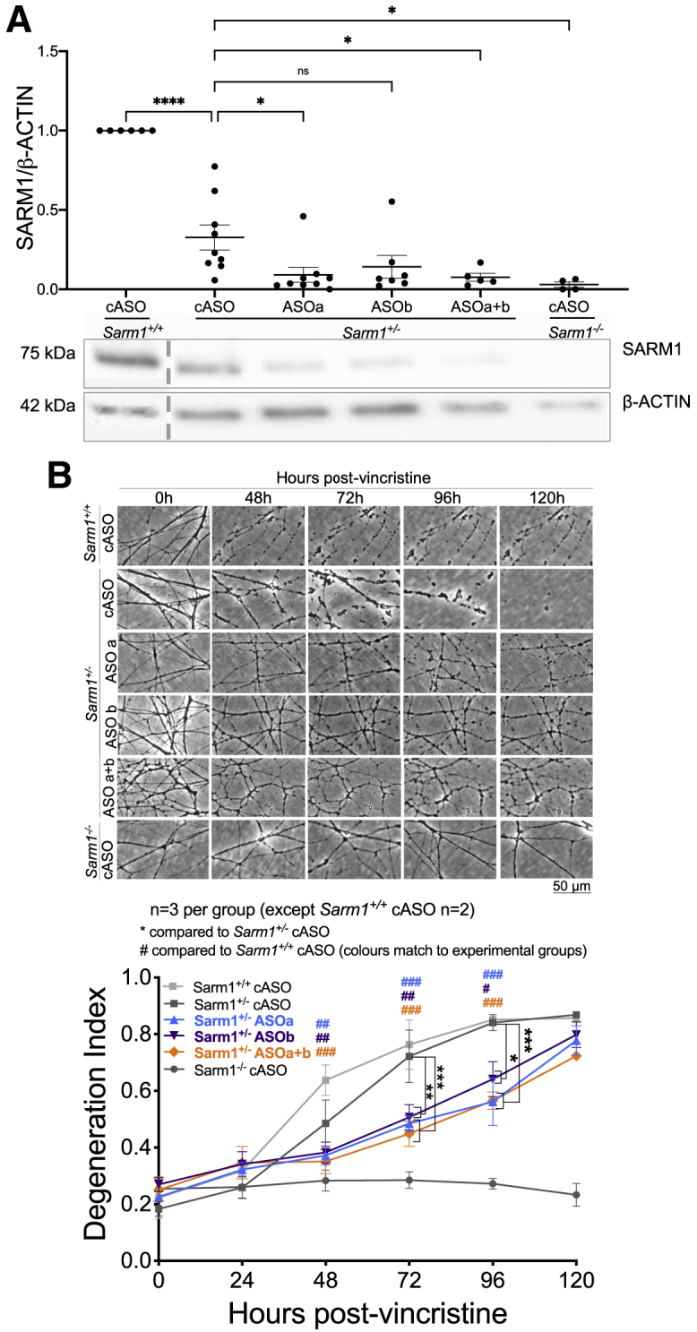 Figure 6