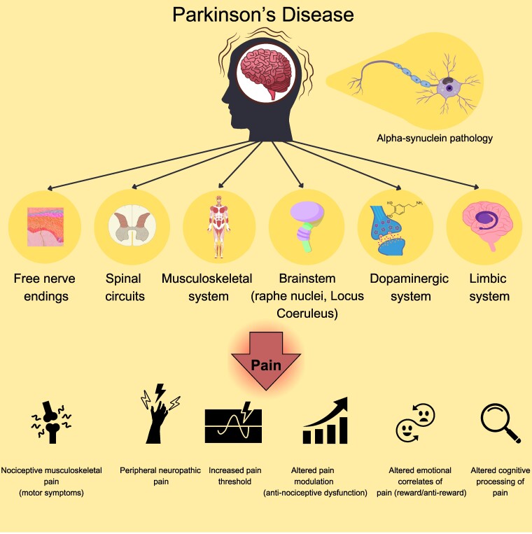 Graphical Abstract