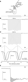 FIG. 7.