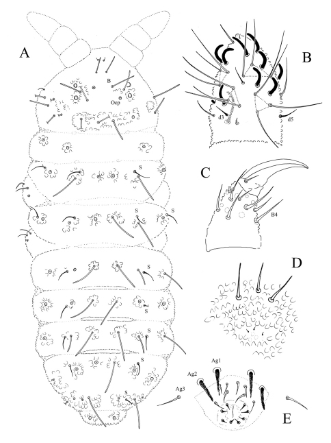 Figure 2.