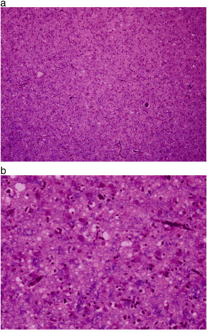 Fig. 4