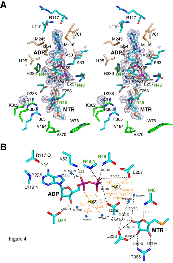 Figure 4