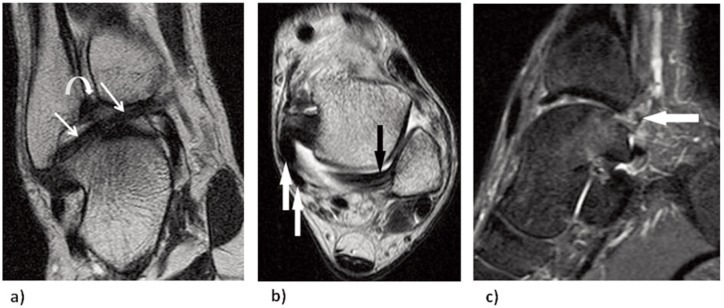 Figure 1 a–c.