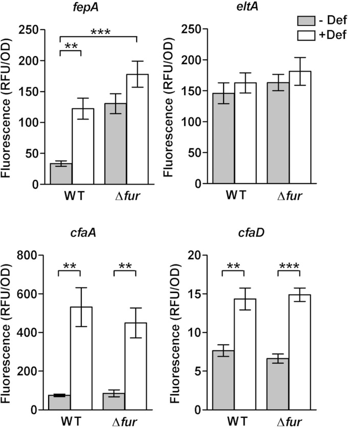 FIG 4