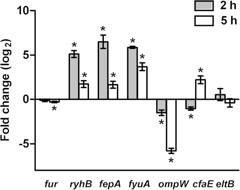 FIG 2