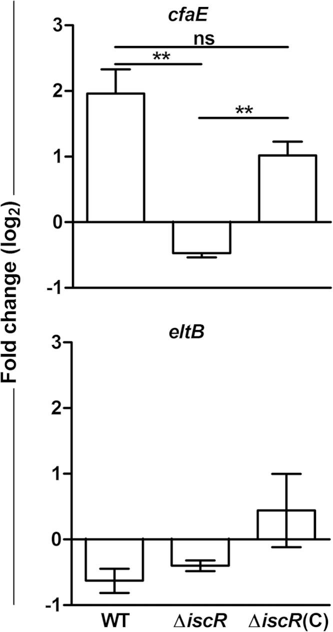 FIG 6