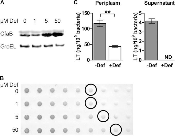 FIG 1