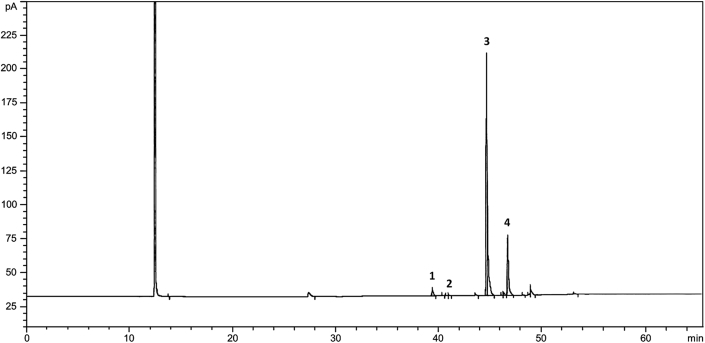 Fig. 1