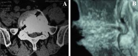 Fig. 7