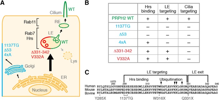 Figure 10.