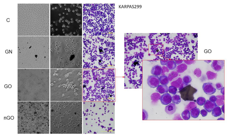 Figure 15