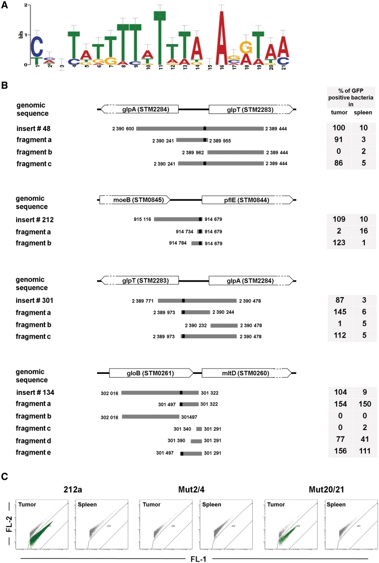 Figure 4.