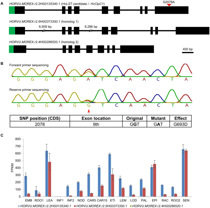 FIGURE 6