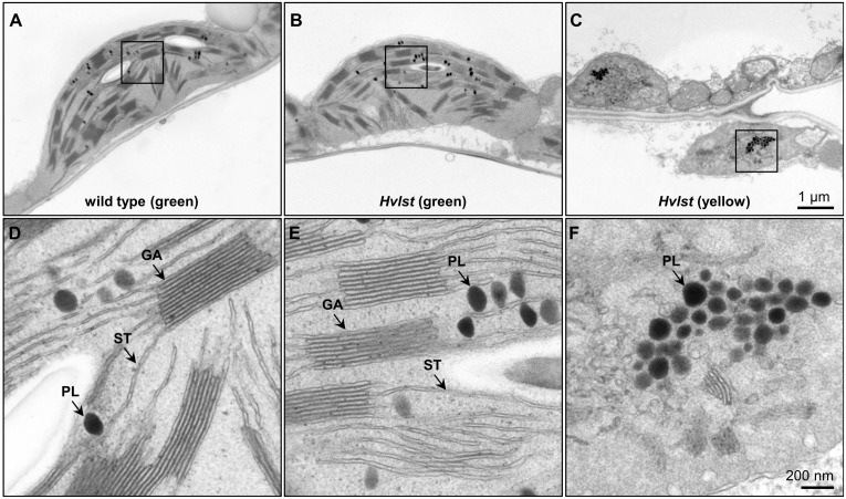 FIGURE 3