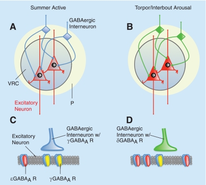 Fig. 9.