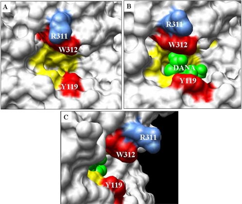 Figure 5