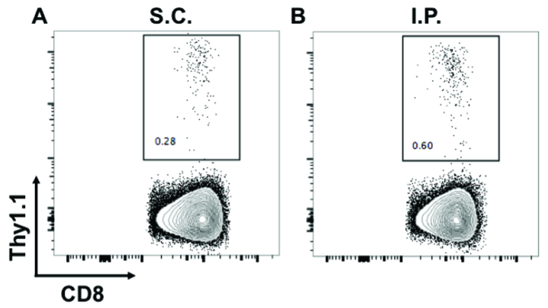 Figure 4: