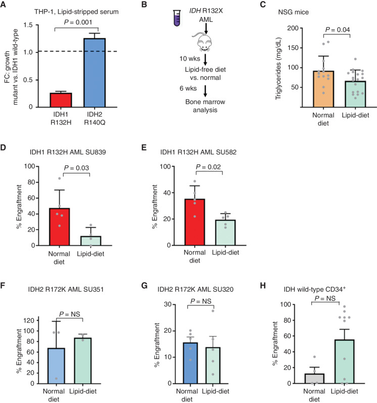 Figure 4. Lipid-free diet causes decreased growth of mIDH1 AML. A, Growth of mIDH1 vs. mIDH2 THP-1 cells in lipid-stripped serum over 10 days shown as a relative fold change compared with IDH1 wild-type cells. Growth was measured using Presto-Blue cell viability. Bars represent standard deviation of four replicates in a representative experiment performed 3 times. B, Schematic showing change in diet to sucrose-rich lipid-free diet at 10 weeks after engraftment of human AML. C, Triglyceride levels measured in NSG mice after 6 weeks of lipid-free dietary supplementation. D–H, Human CD33+ engraftment of mIDH1 AML (D, E), mIDH2 AML (F, G), and normal CD34+ HSPCs (H) after 6 weeks in mice treated with lipid-free compared with normal rodent diet. Bars represent standard error. Mann–Whitney U test was used to compare engraftments with P values as shown.