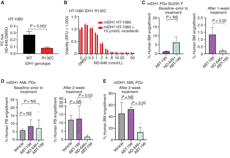 Figure 7. ACC1-selective inhibitor ND-646 can overcome venetoclax resistance. A, Fold change decrease in the number of live IDH1 R132C HT-1080 cells compared with IDH1 reversion wild-type HT-1080 cells after 96 hours exposure to the ACC1 inhibitor ND-646 compared with DMSO vehicle. Graph shows mean of 3 independent experiments. B, Parental IDH1 R132C HT-1080 cells were treated with increasing concentrations of ACC1/2 inhibitor ND-646 ± 10 μmol/L ivosidenib. Cell viability was measured after 5 days in 4% lipid-stripped serum culture. This experiment was performed three times with a representative experiment shown. Bars represent standard deviation of technical replicates. No statistical differences were observed between ivosidenib-treated cells vs. untreated. C, Baseline and posttreatment bone marrow engraftment levels of human CD45+CD33+ mIDH1 AML exposed to ABT-199 50 mg/kg or ABT-199 50 mg/kg in combination with selective ACC1 inhibitor ND-646 100 mg/kg for 7 days by oral gavage. P values represent the nonparametric Mann–Whitney U test. D, Peripheral blood engraftment levels of mIDH1 primary AML after treatment for 14 days with either vehicle, ABT-199 50 mg/kg, or ABT-199 in combination with ND-646. E, Bone marrow engraftment levels of the same experiment in D. P values represent the nonparametric Mann–Whitney U test for D and E.