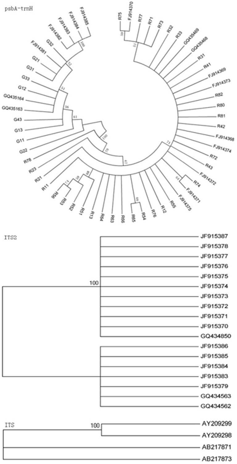 Figure 6