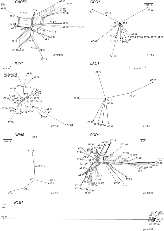 Fig 6